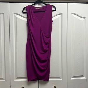 Rachel Roy raspberry dress